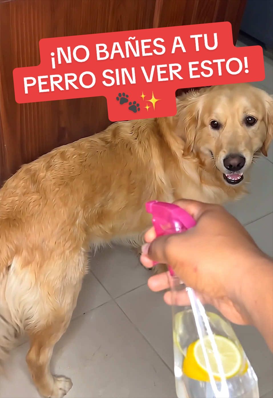 @Consejos para tu casa y más