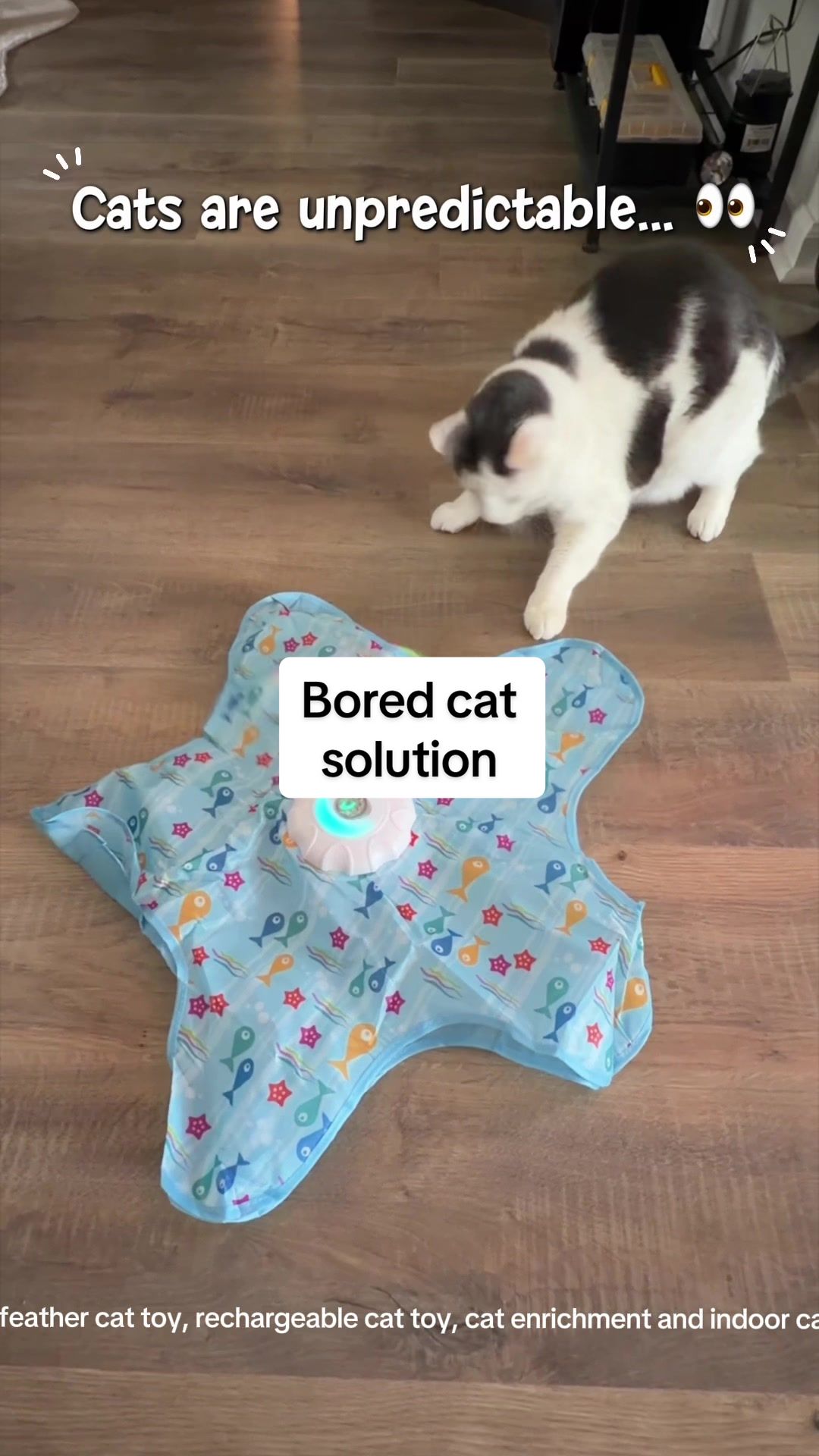 @Kim | Fun Finds For Friends