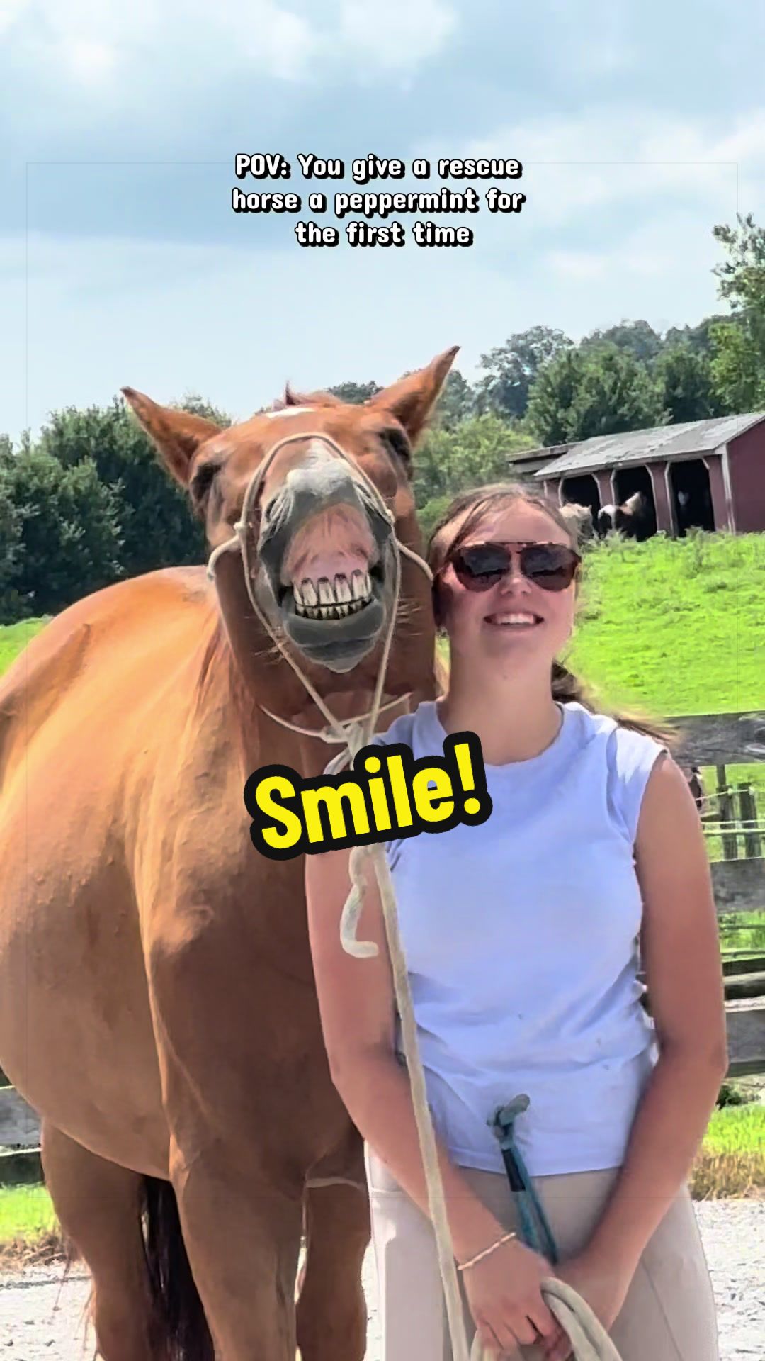 @Days End Farm Horse Rescue