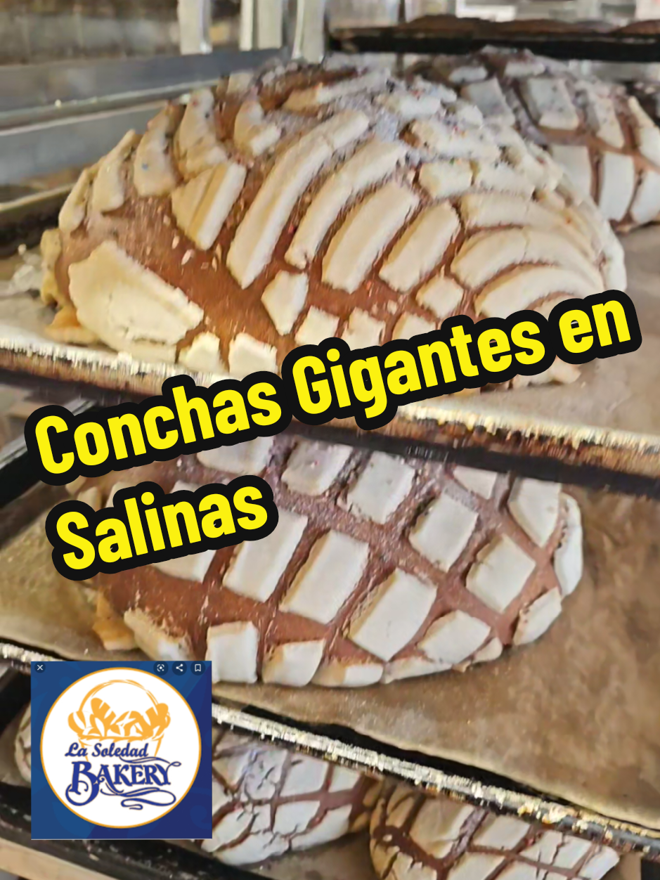 @Sandy Santos TV