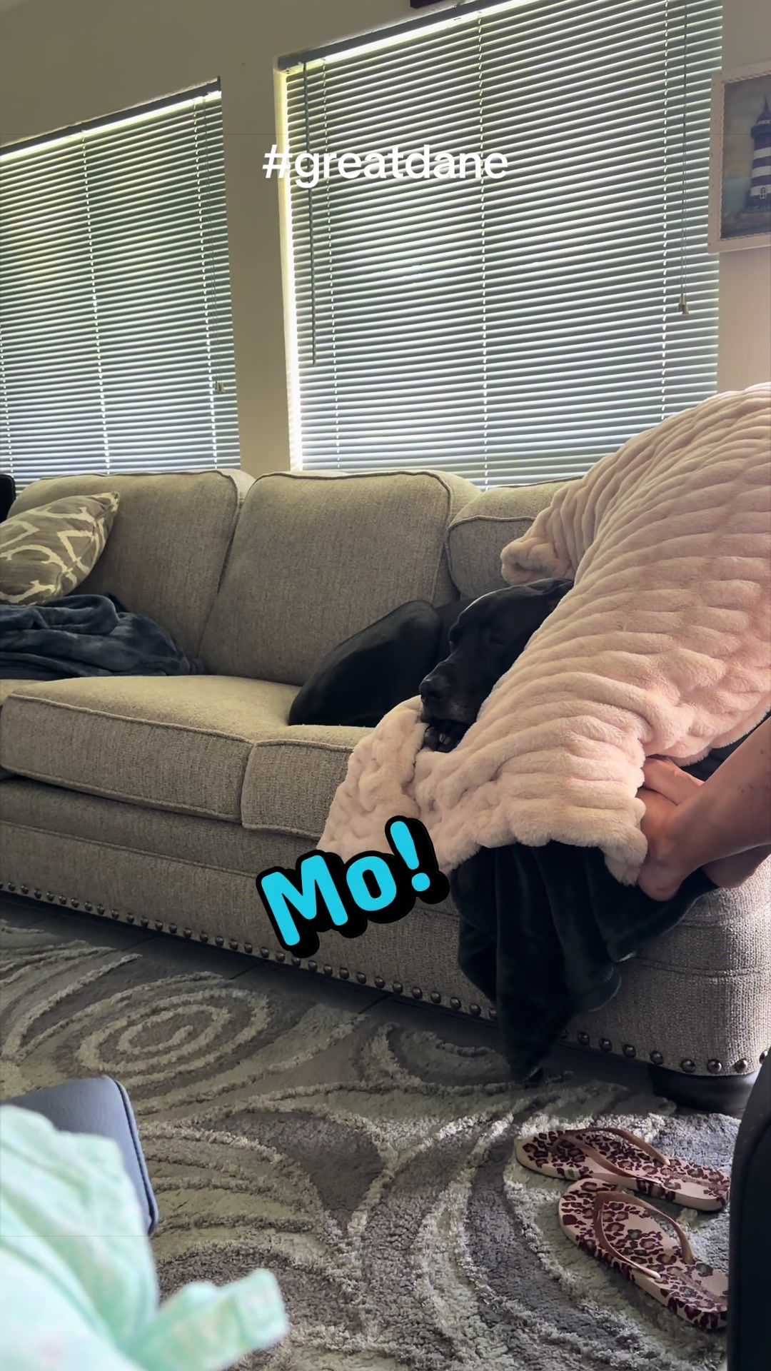 @Mo
