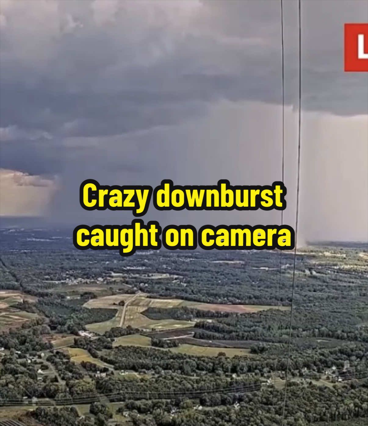 @WRAL_michaels