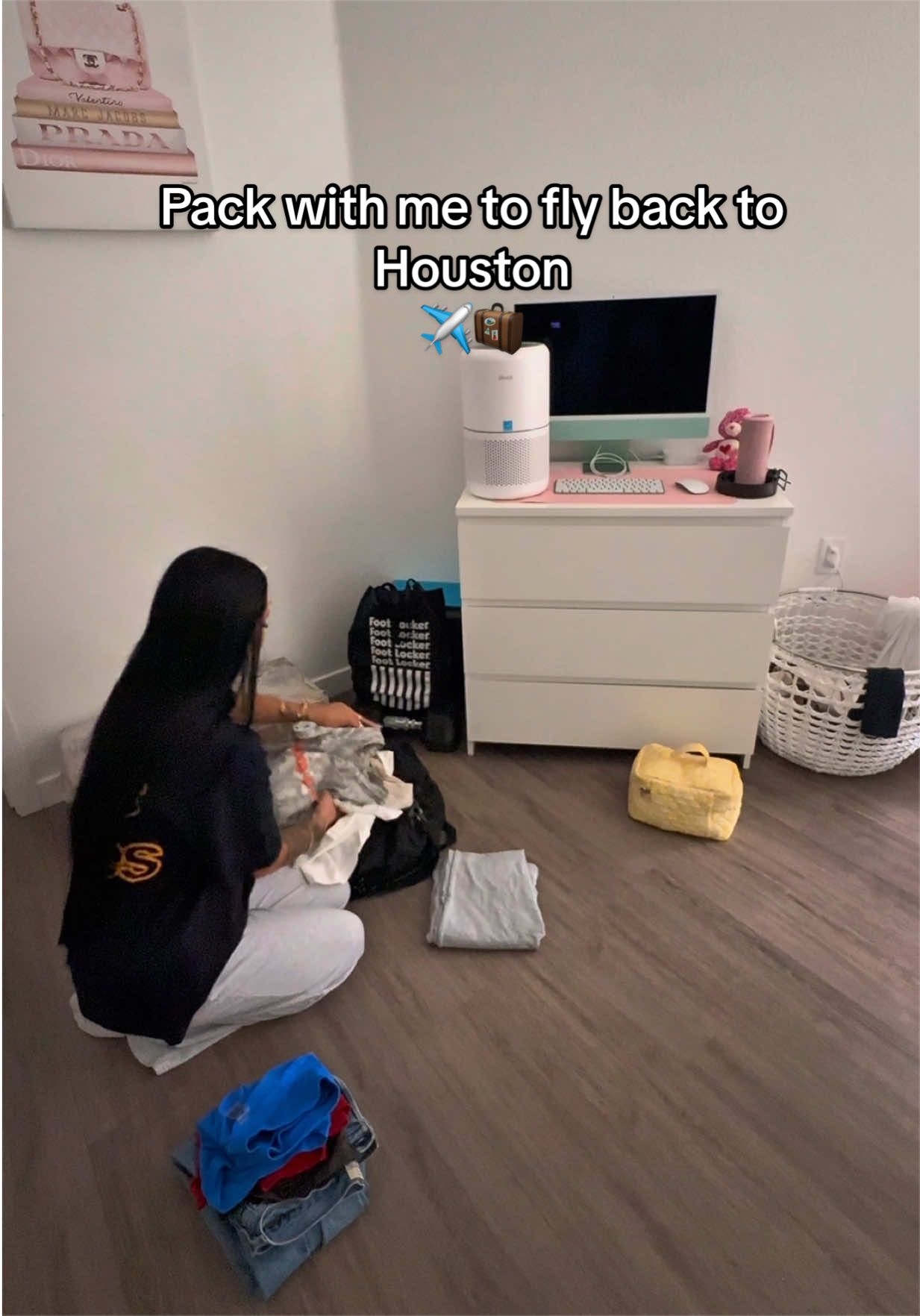 @shaypatino