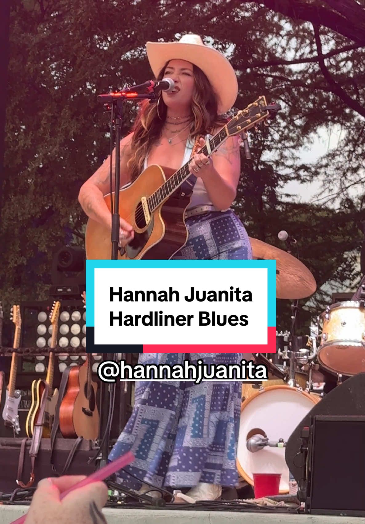 @vipconcertmom