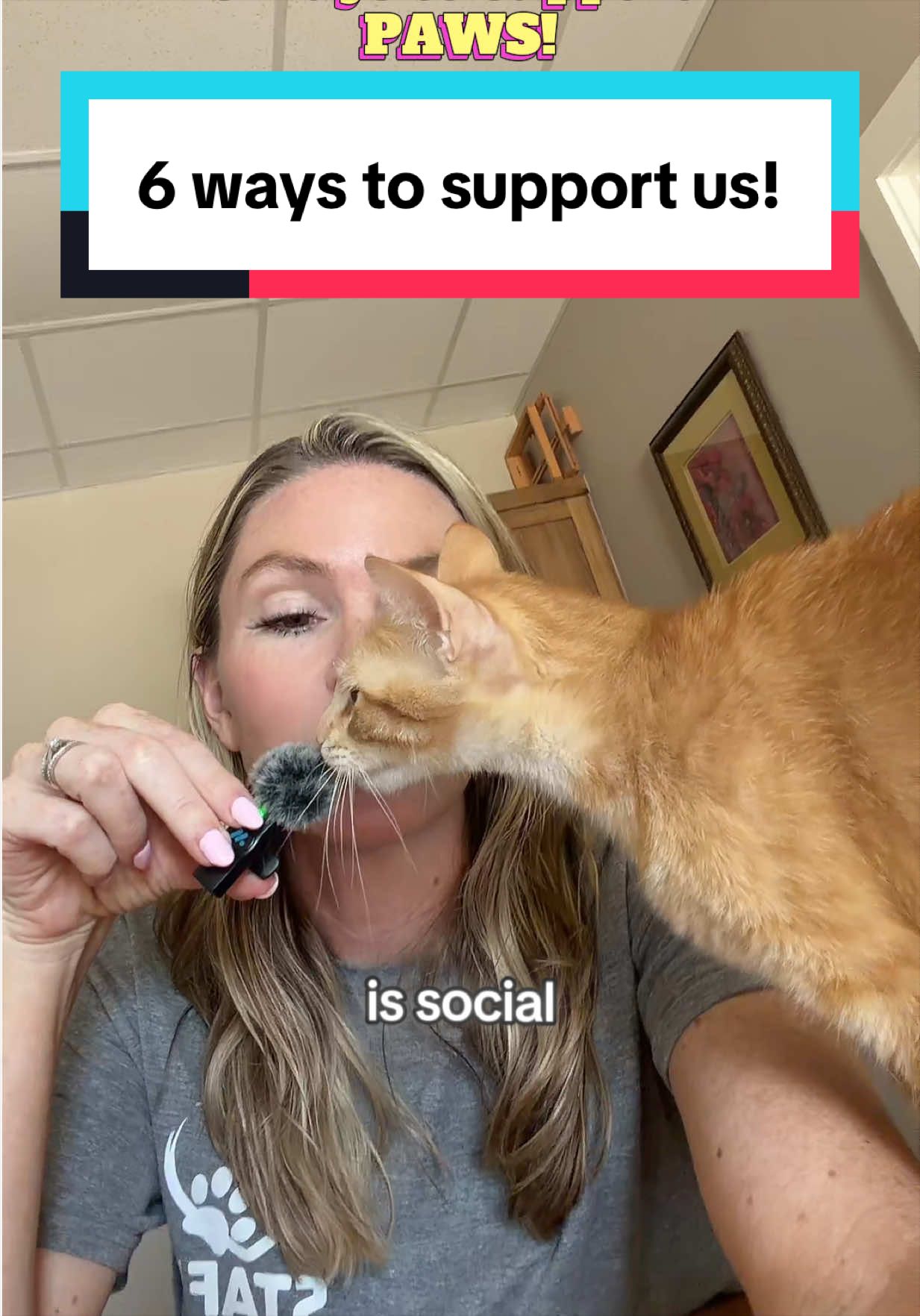 @PAWS Shelter