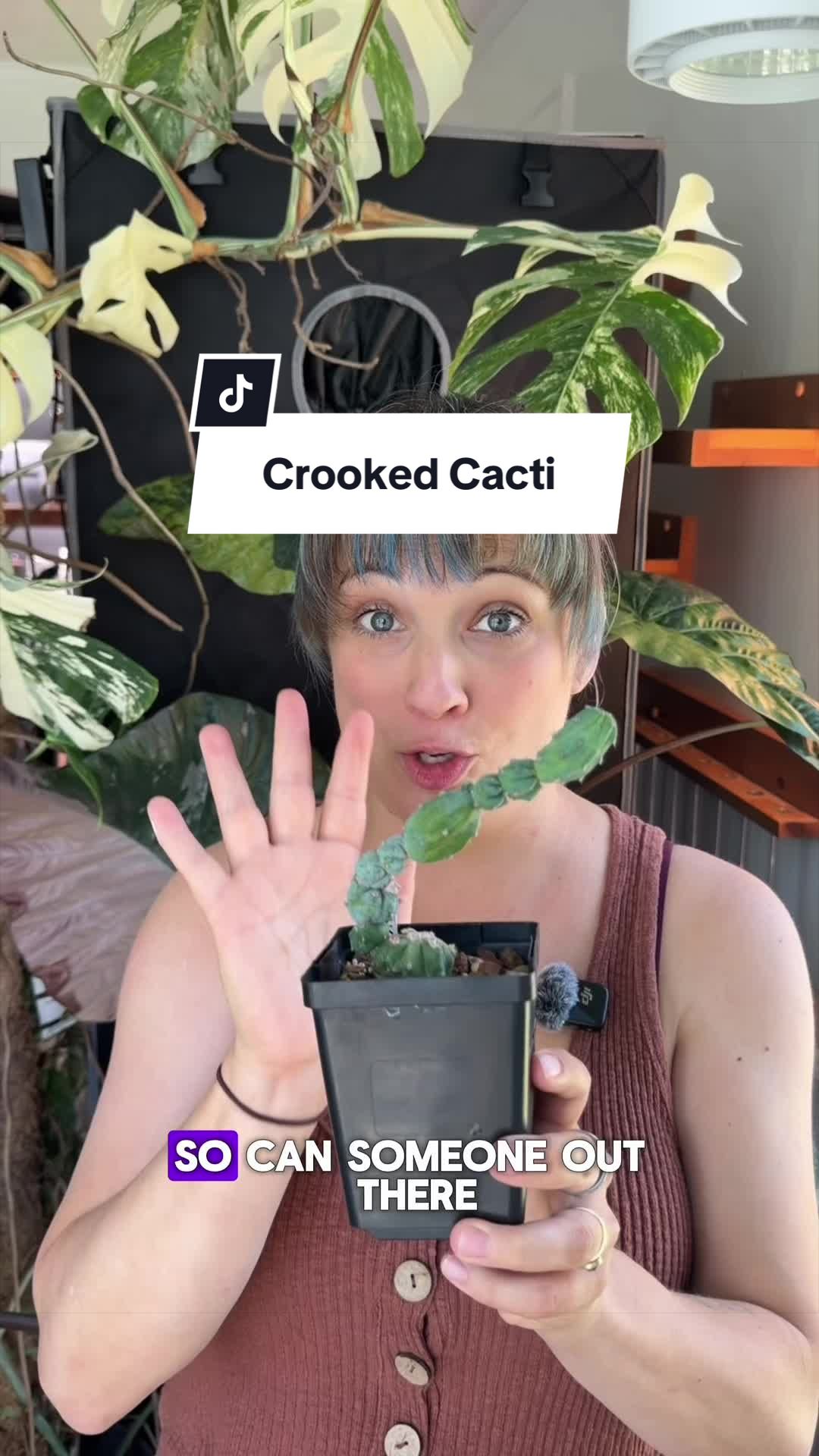 @alltheplantbabies