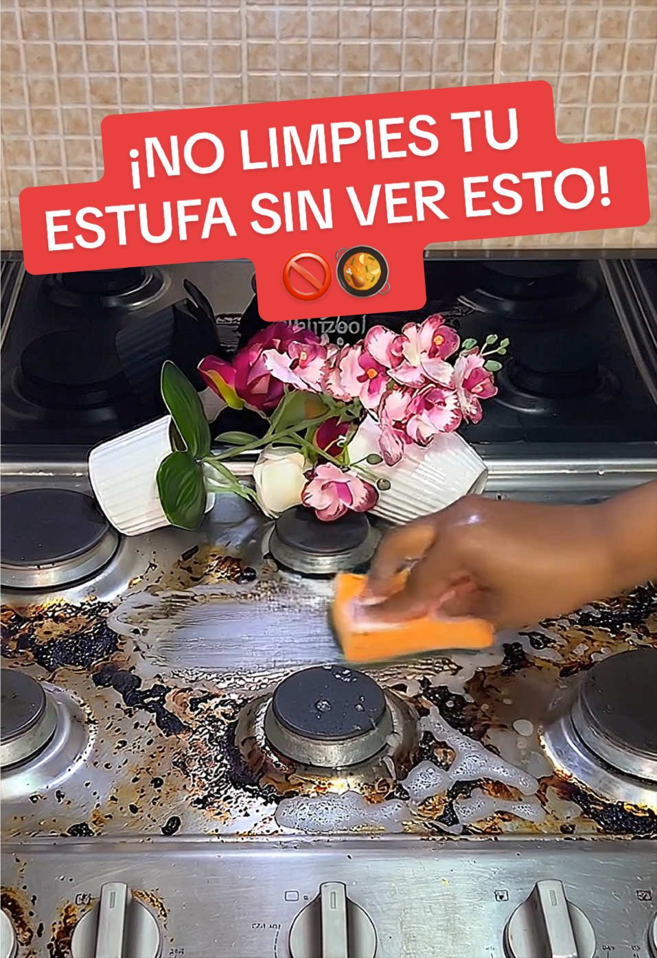 @Consejos para tu casa y más