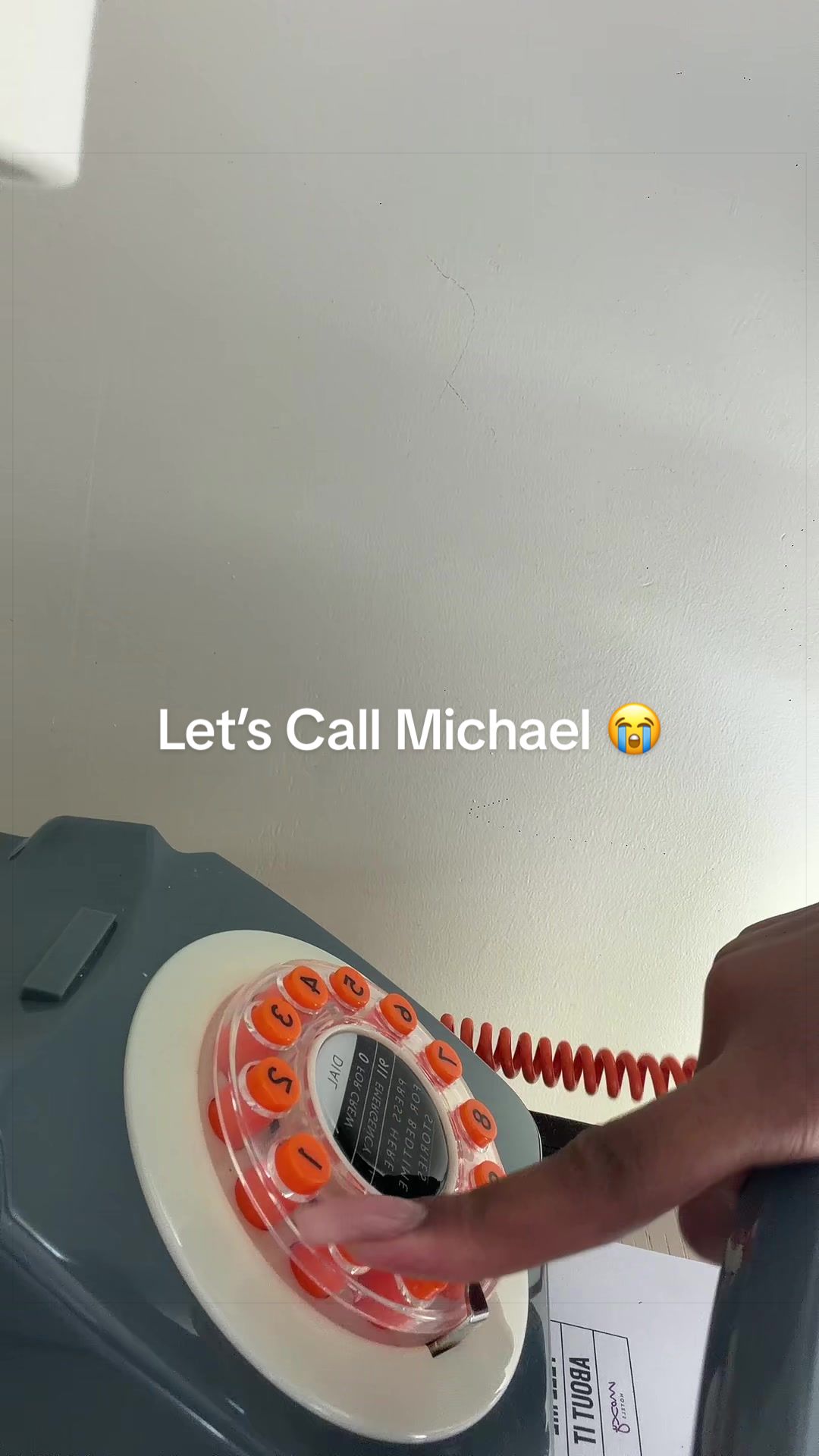 @DaniDice