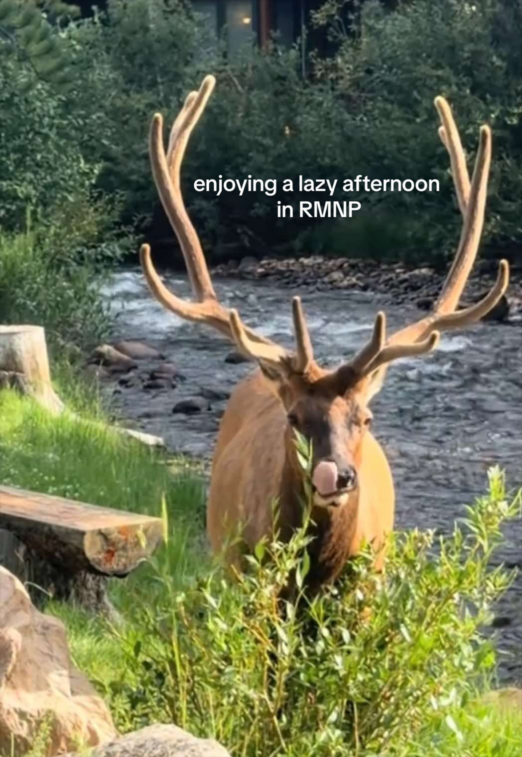 @Emalee in Estes 🫎⛰️