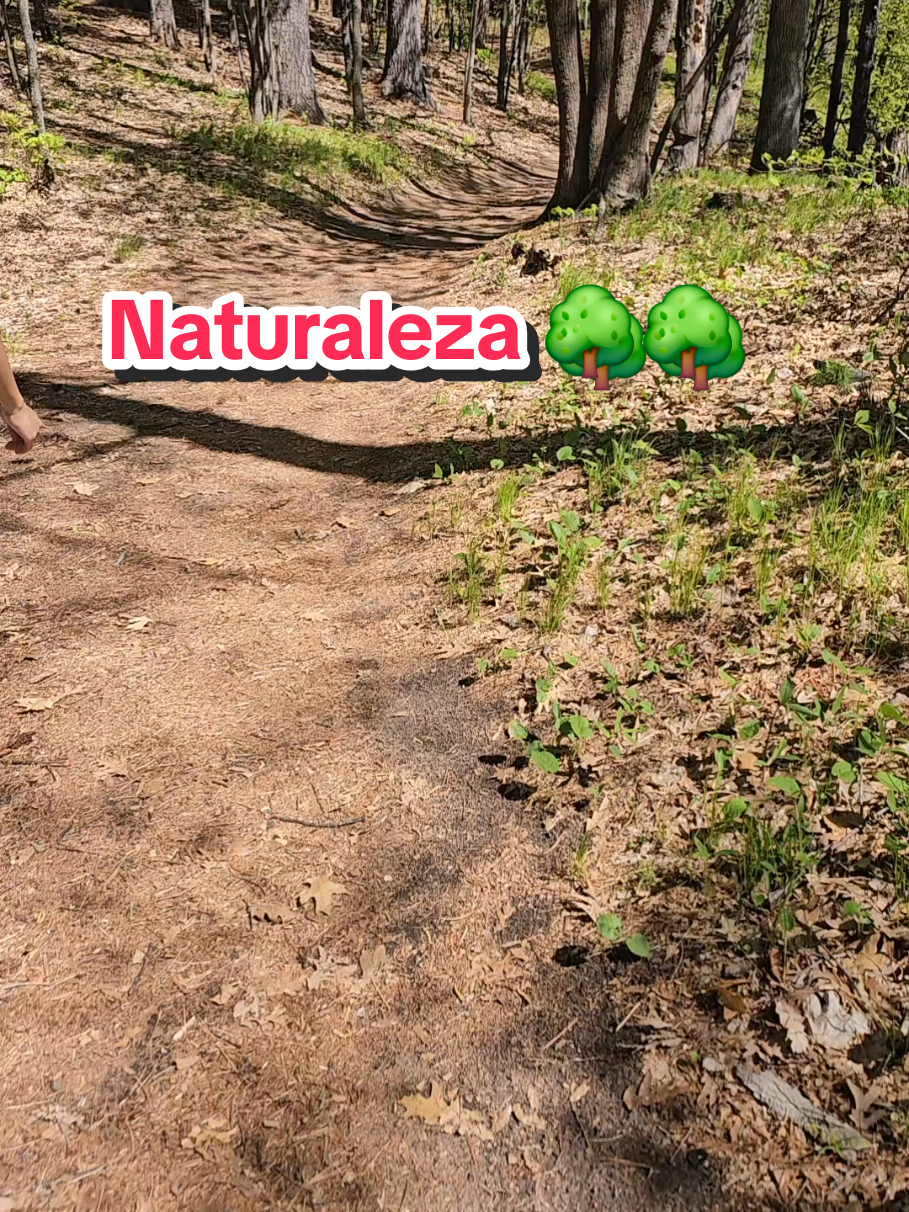 @🦋Mariposa Divina🦋