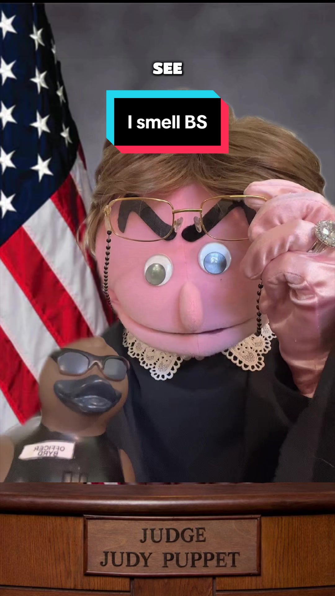 @Judy the Judgey Puppet Show