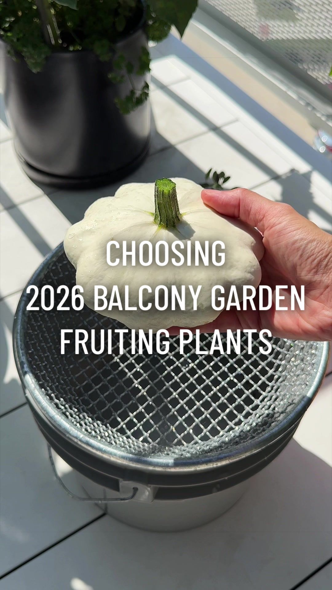 @gardeningindoors