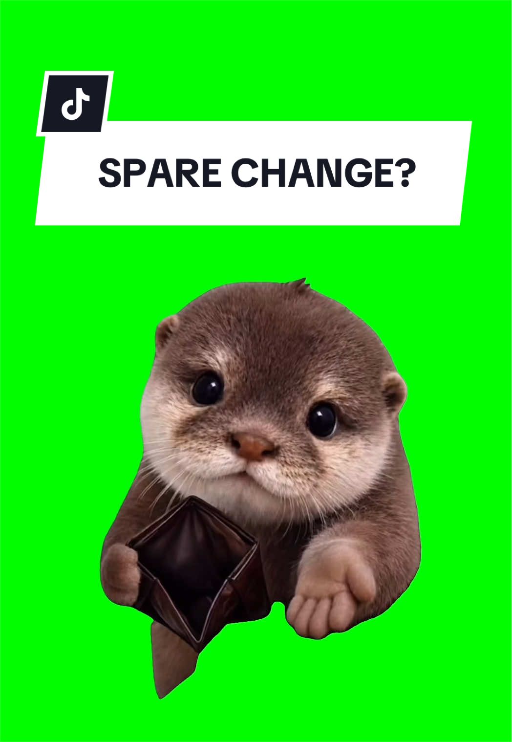 @SILLYBALOO