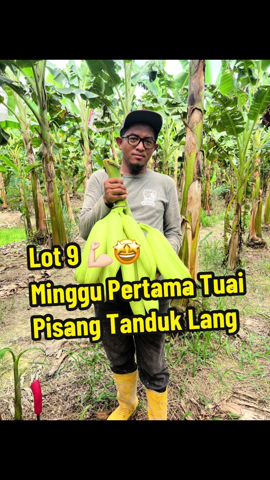 @Khairul Azwan | Petani Muda