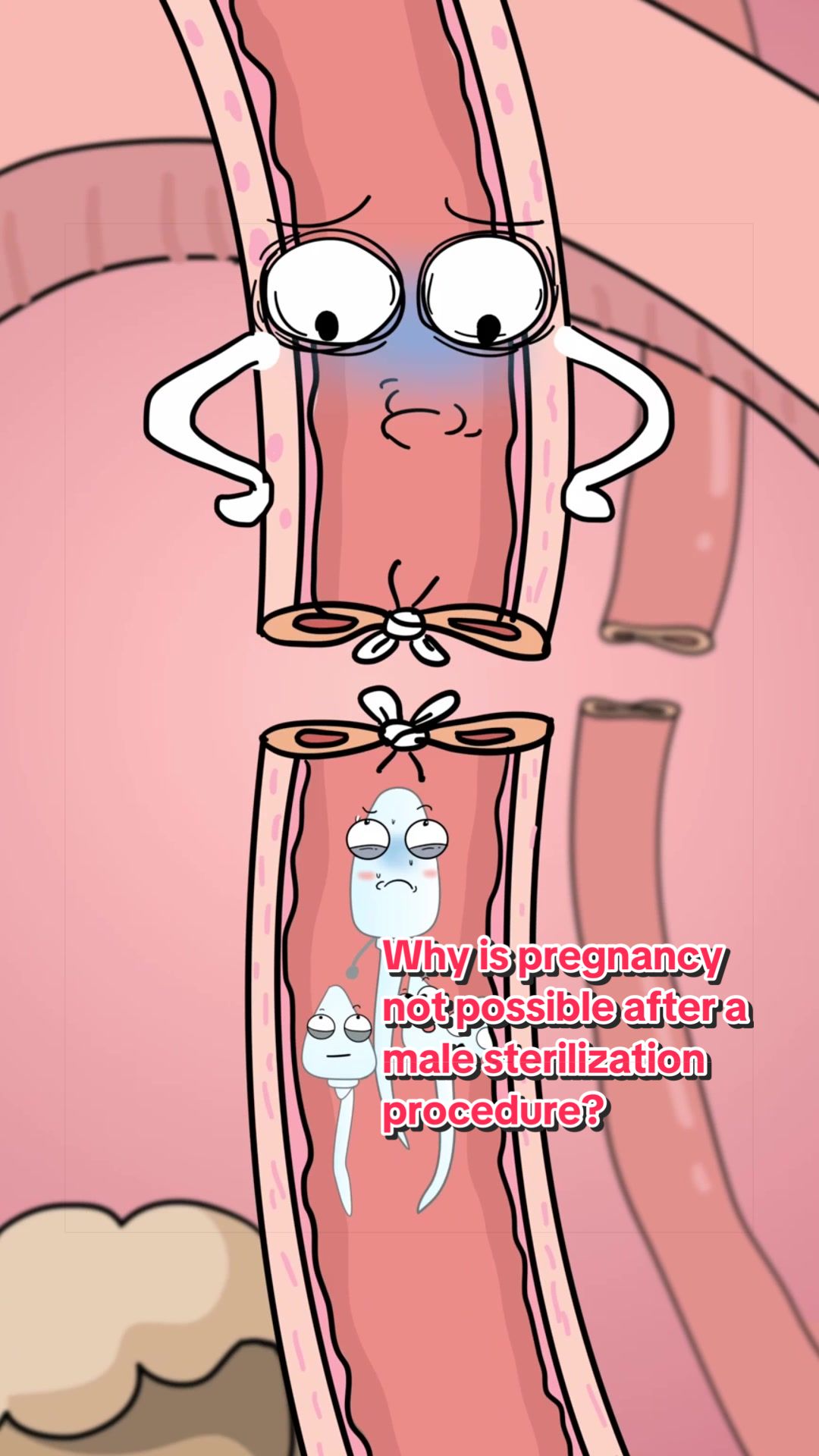 @Funny Animations