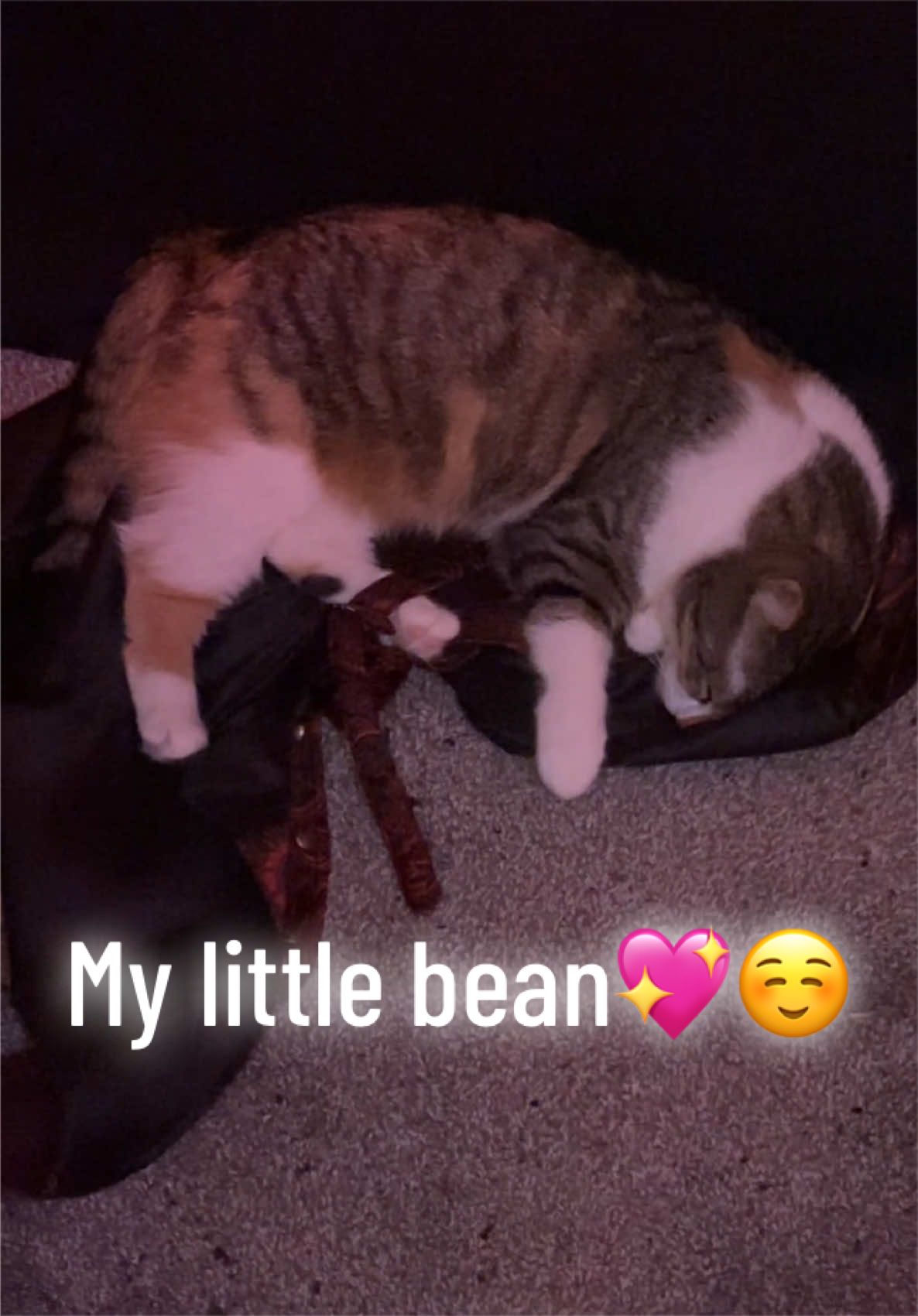 @Bluesquishy
