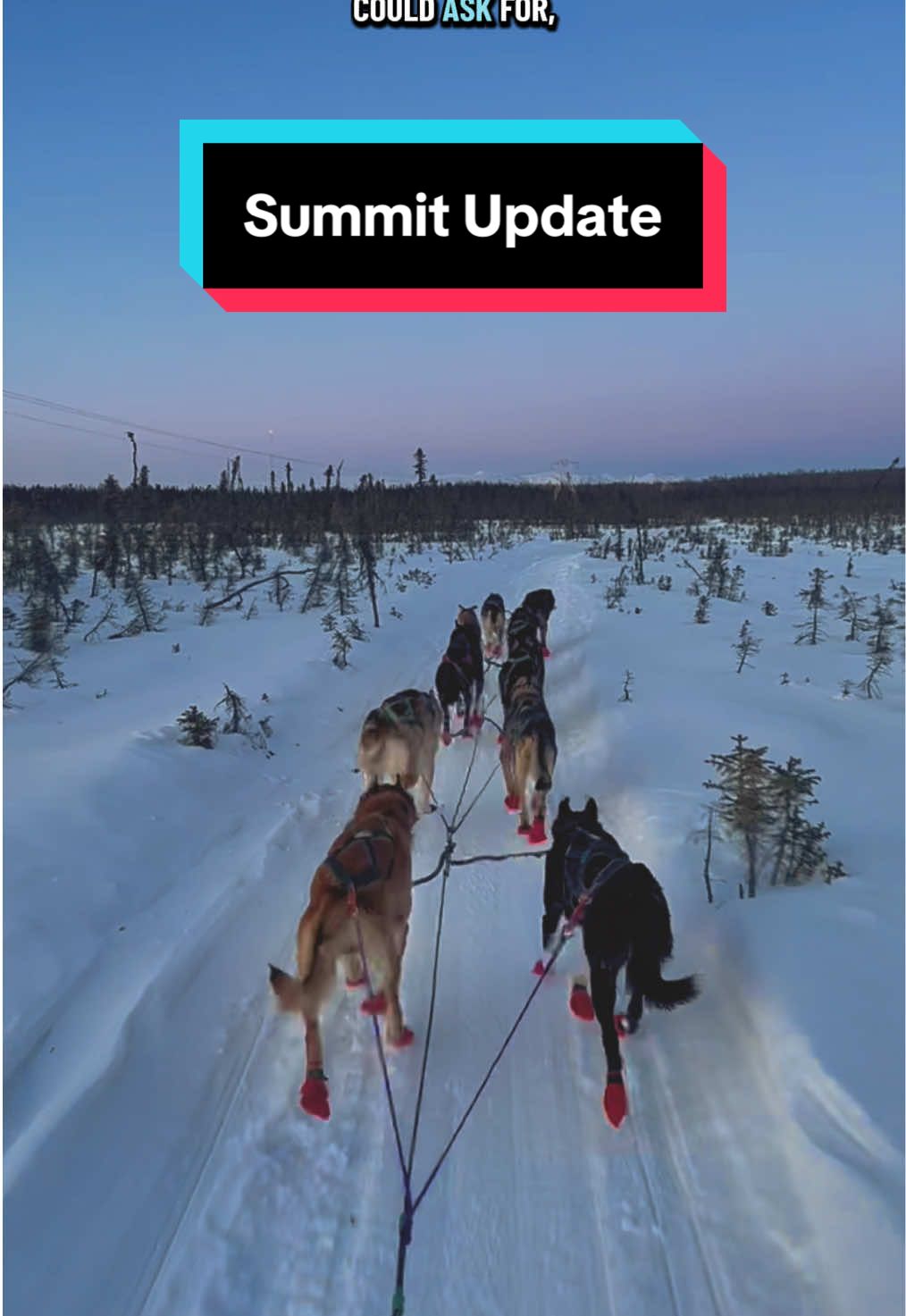 @Glacier Musher