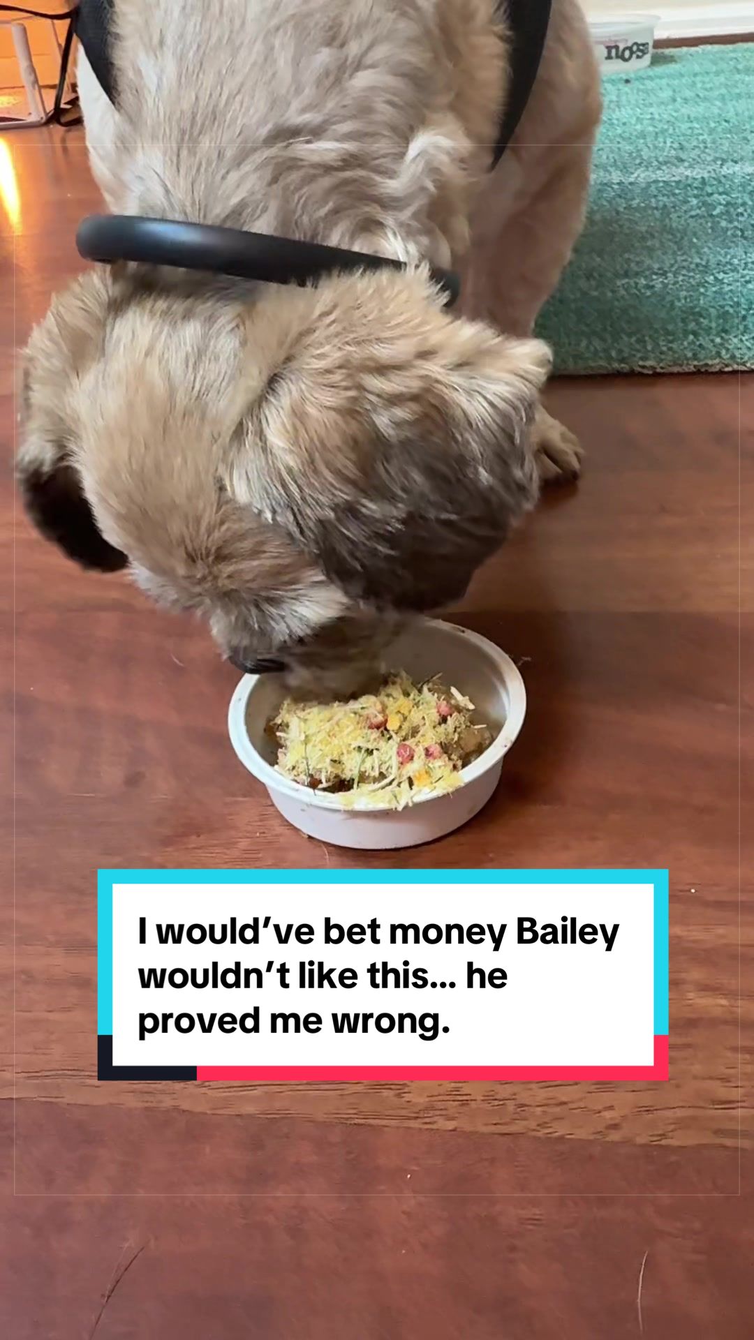 @Spice Of Likes