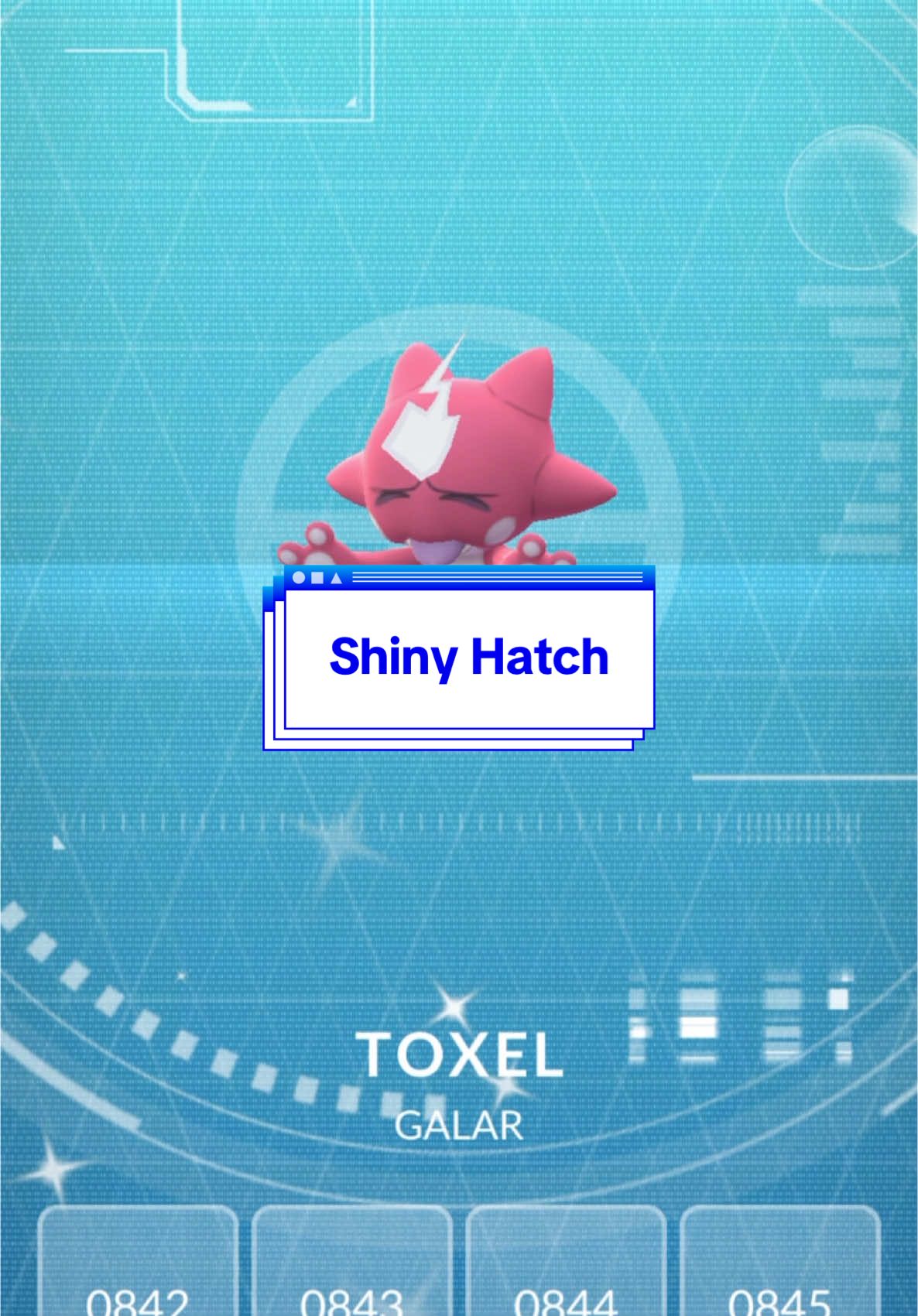 @Everything Pokemon