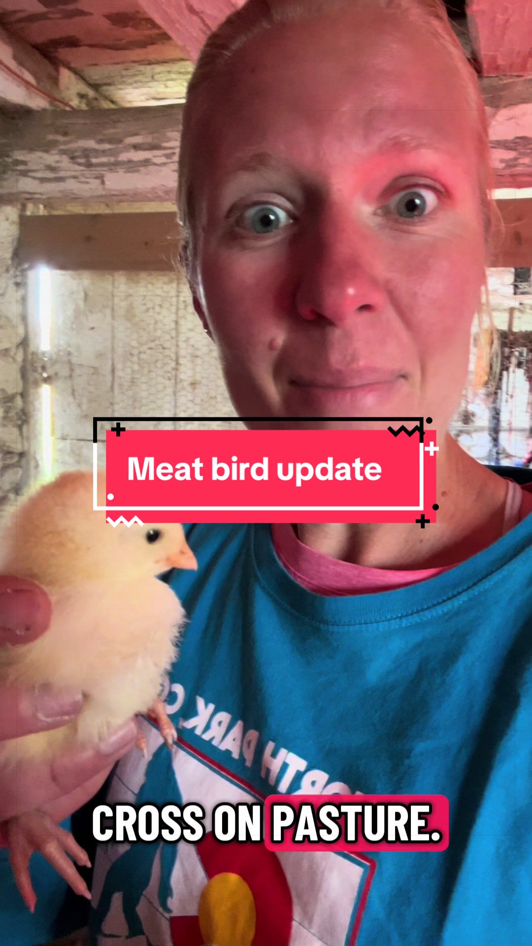 @littlesandycreekfarm