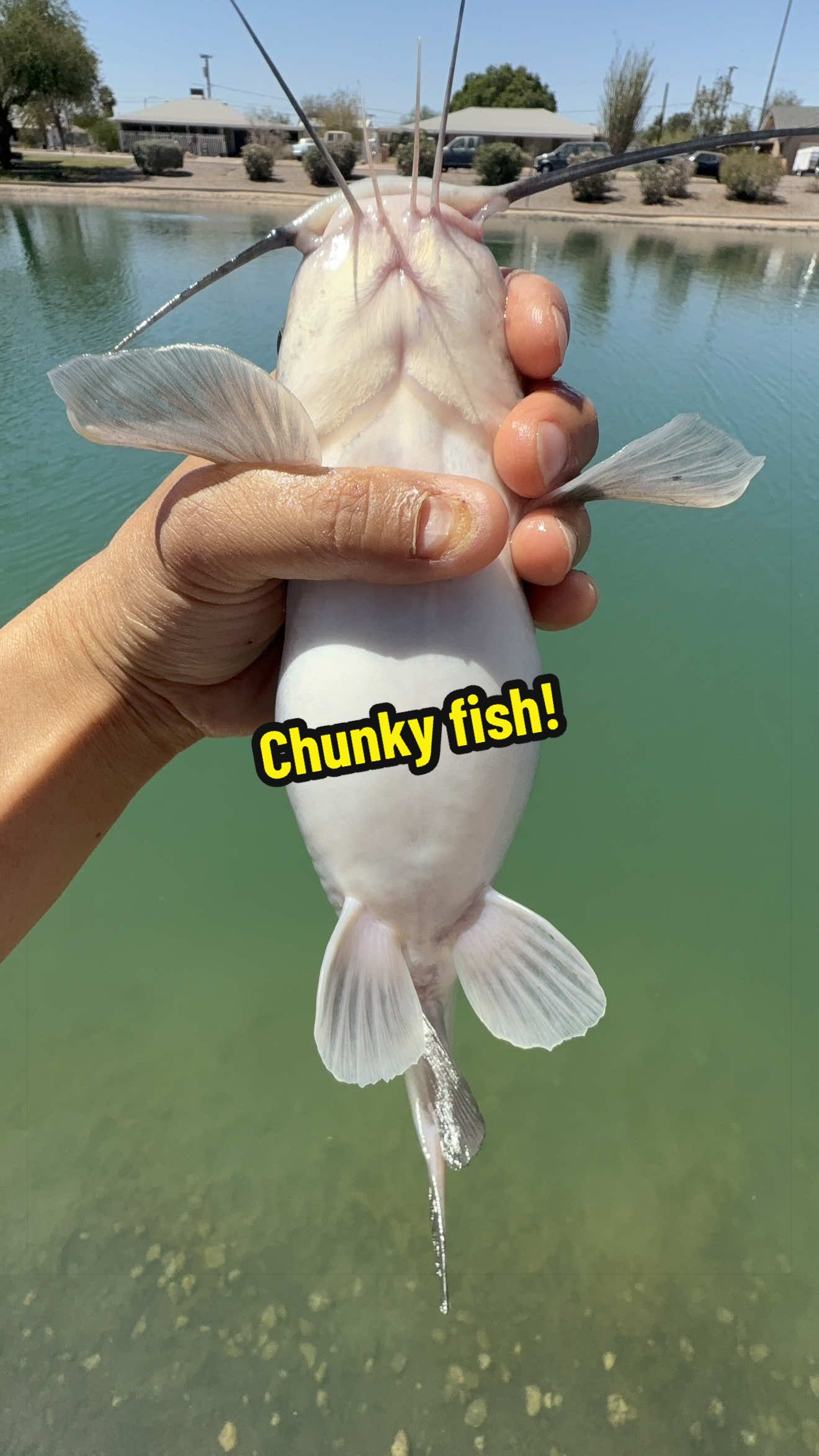 @Luu Nguyen Fishing