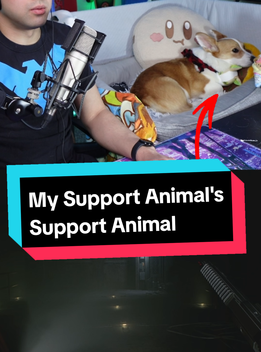 @Protocorg | Twitch Streamer
