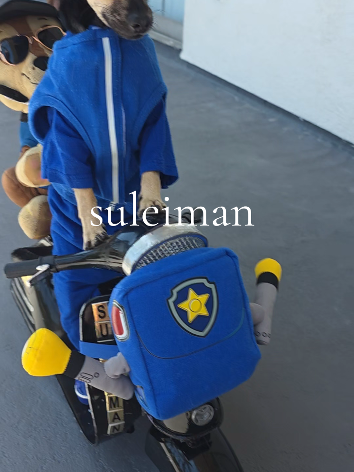 @suleiman 🐕