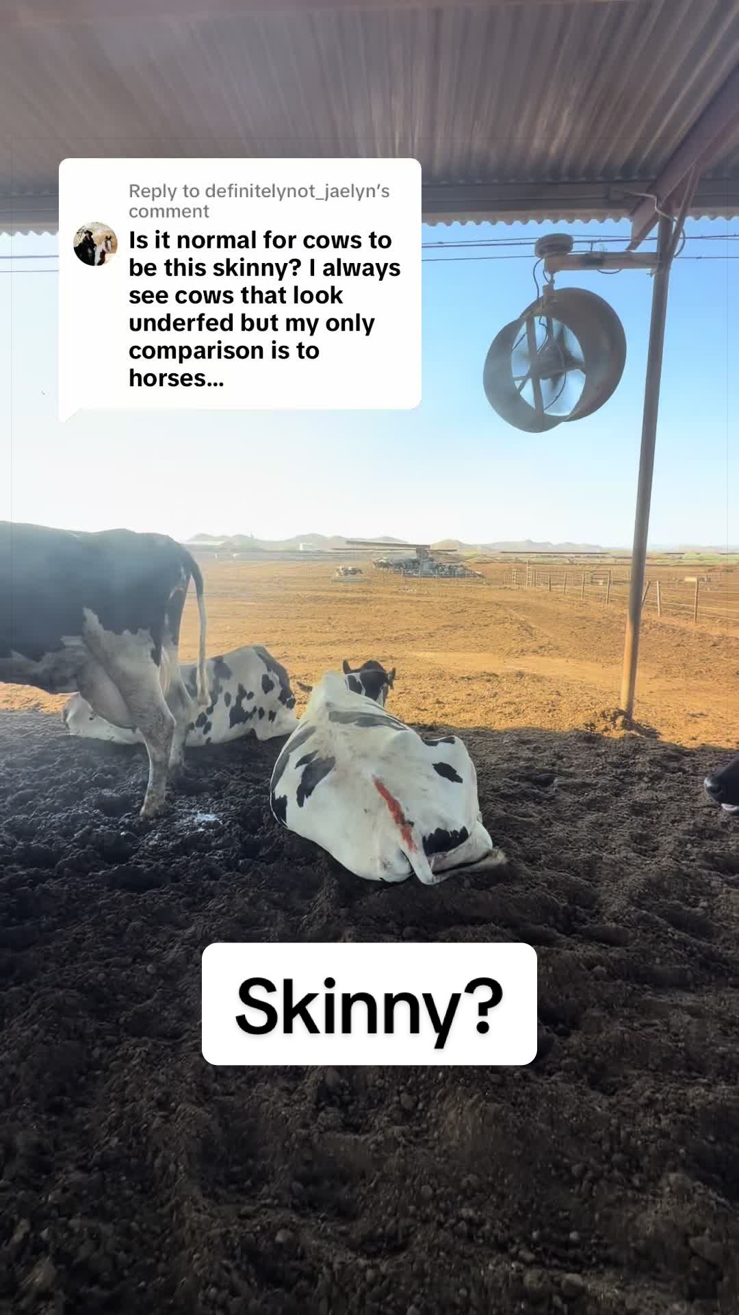 @Dairy Vet Dr. Michelle