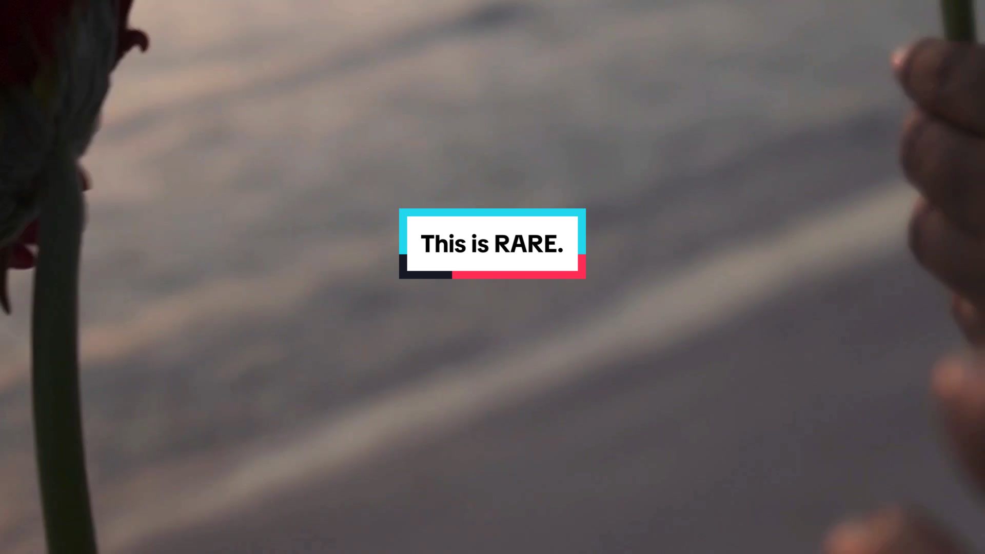 @findyourRARE.