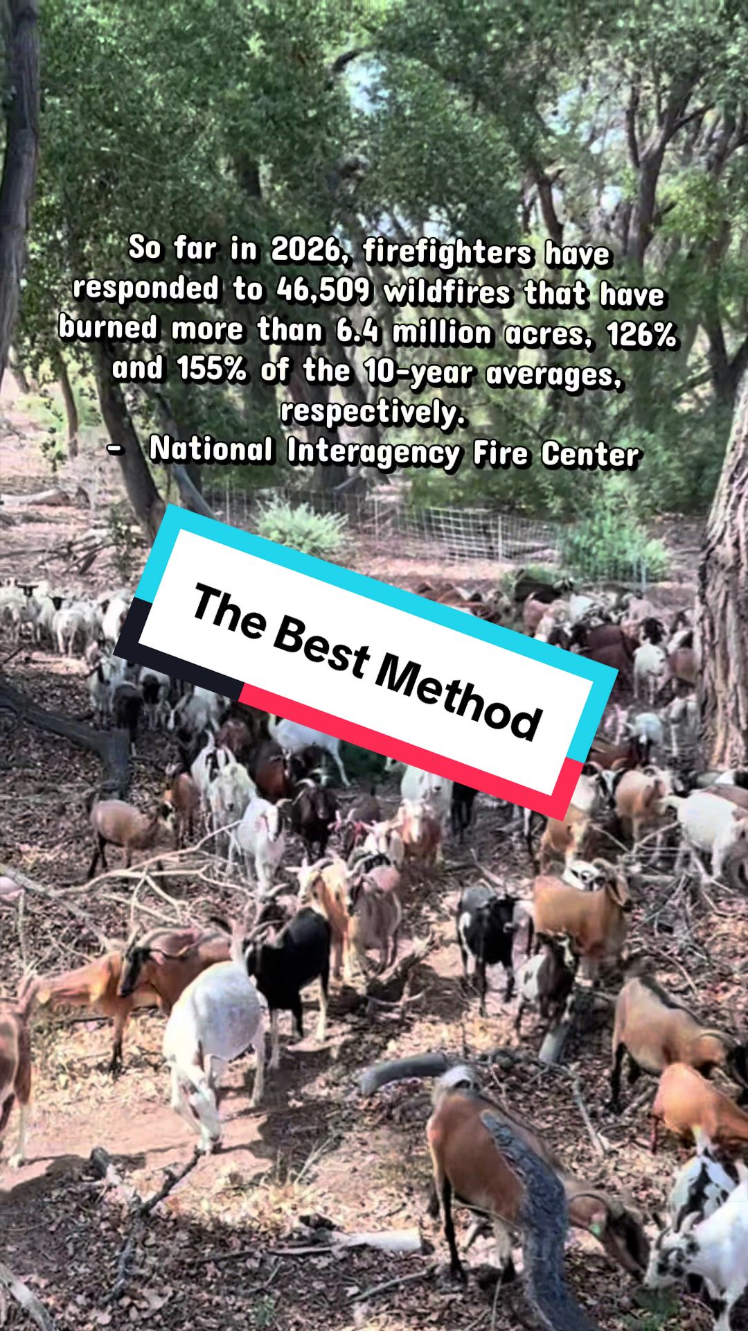@cowboymax