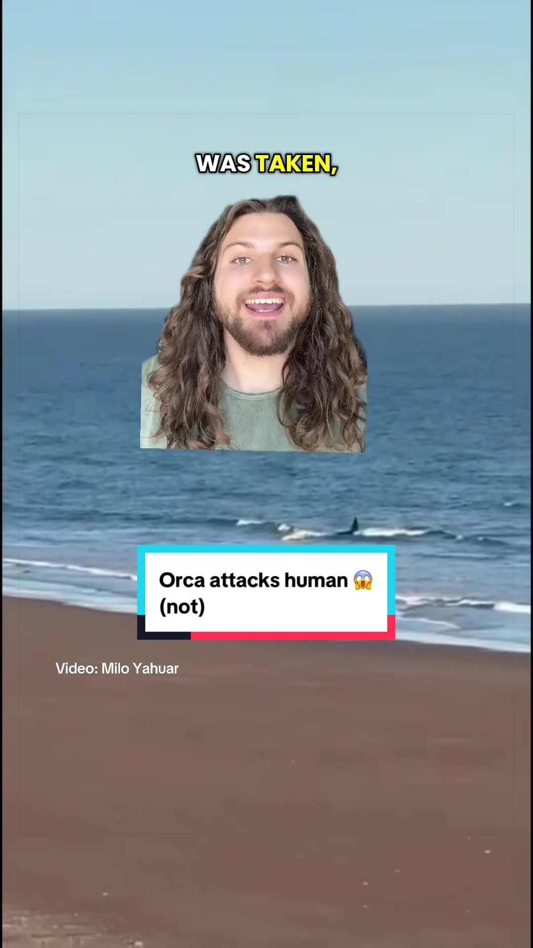 @The Orca Man