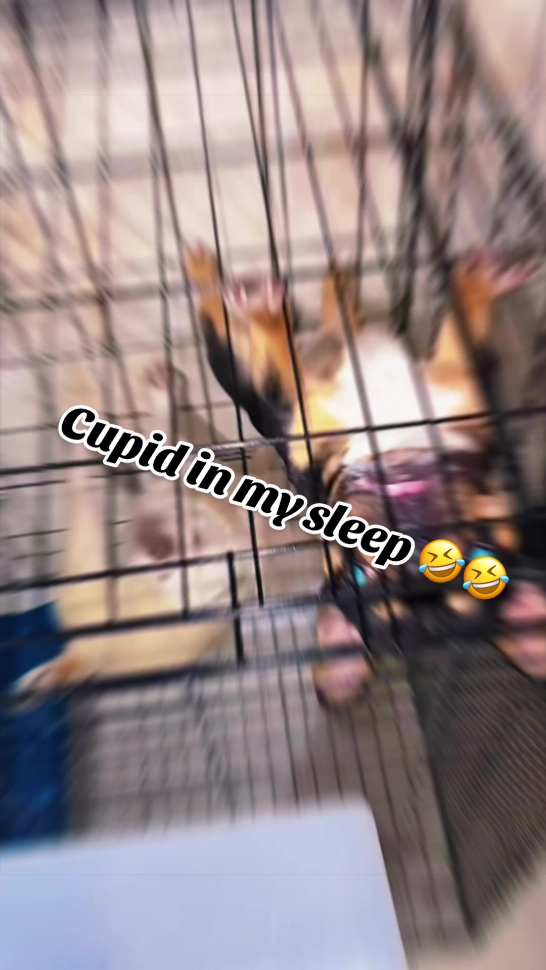 @iamreptilianmarc