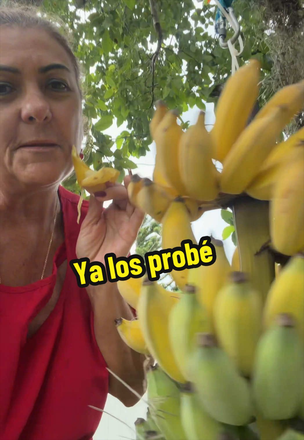 @Aprendiendo con Ana