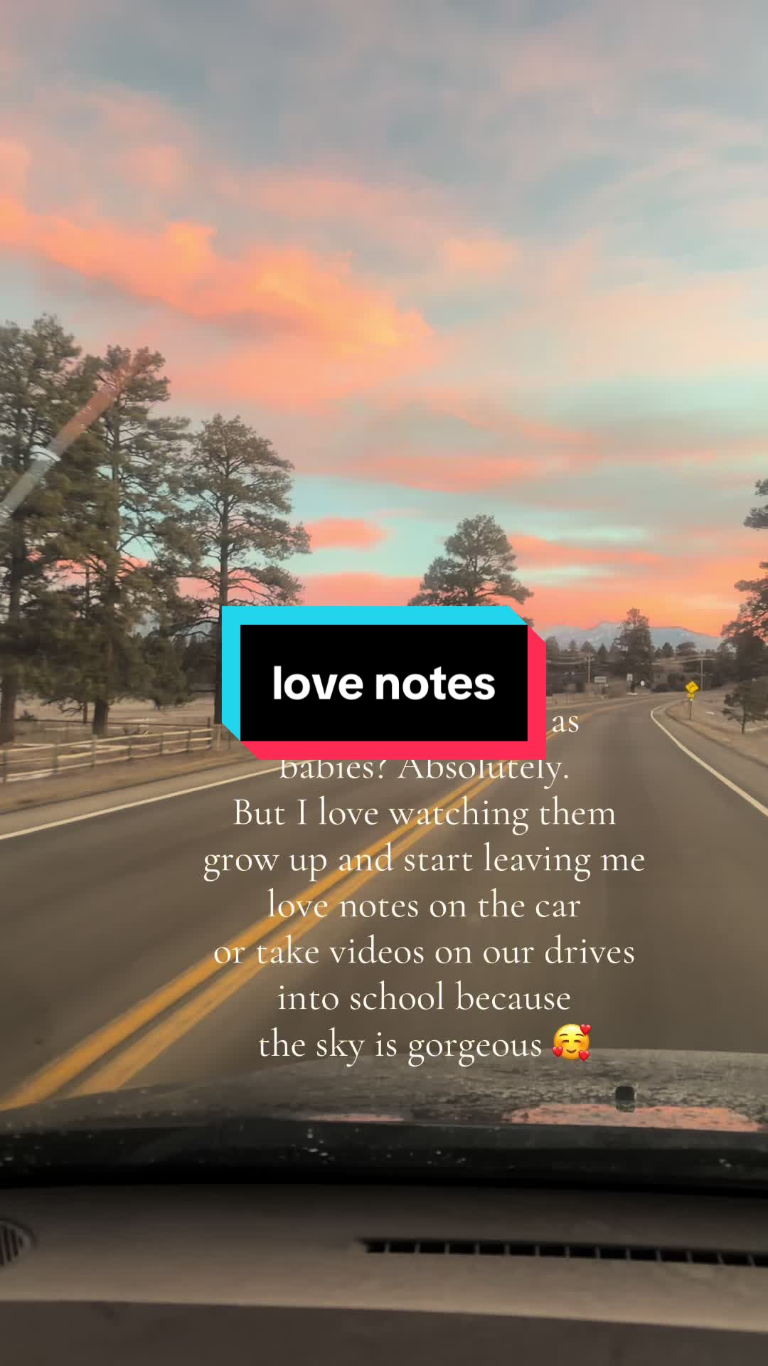 @Caitlin 🌻