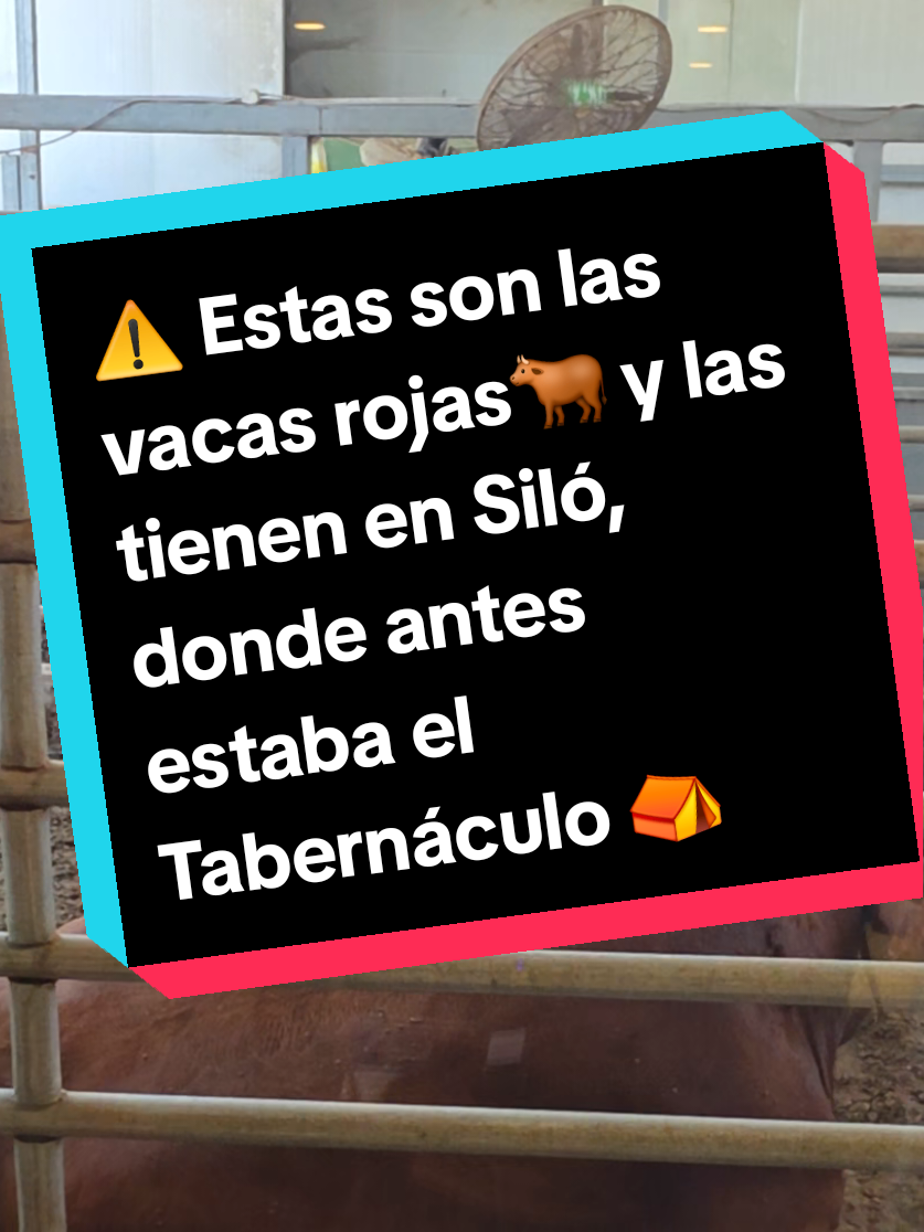 @Miguel Sánchez Ávila