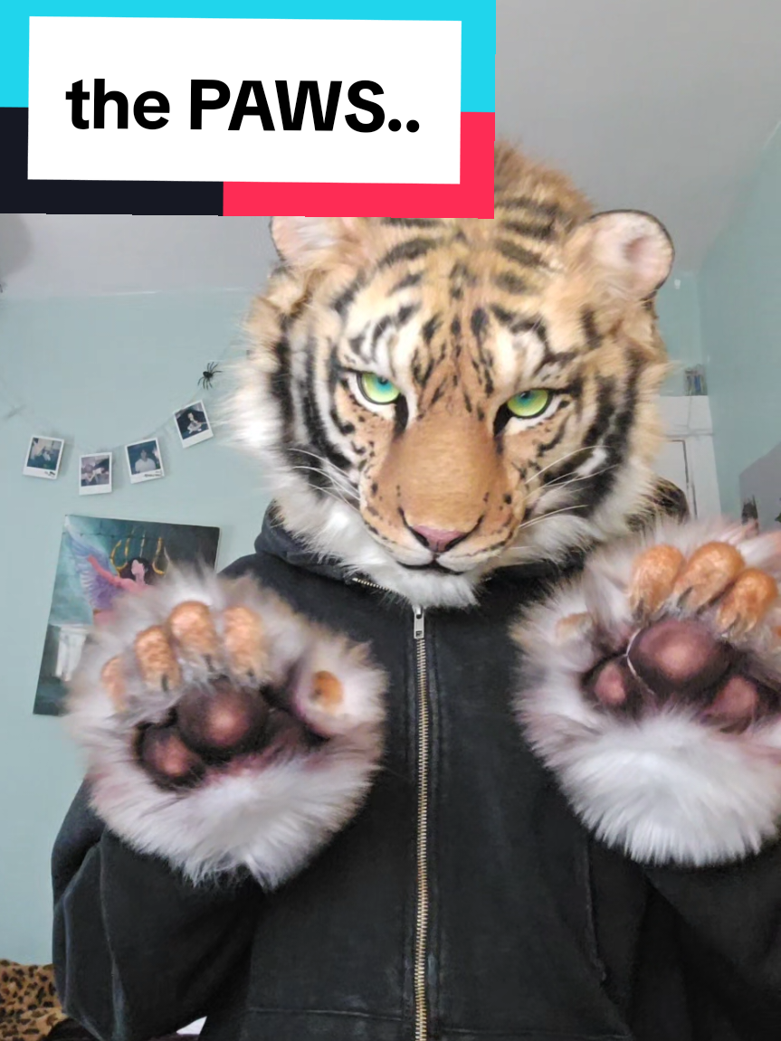 @Sato 🐯