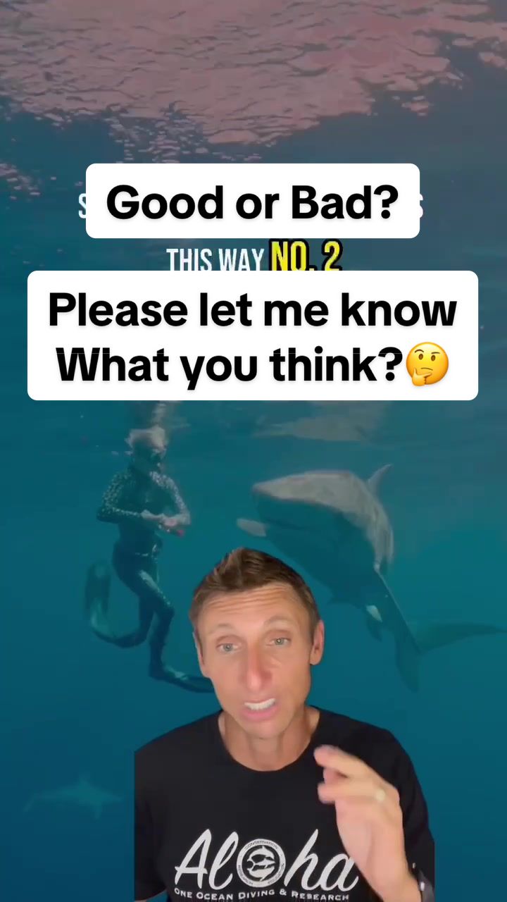 @Ocean Ramsey Sharks