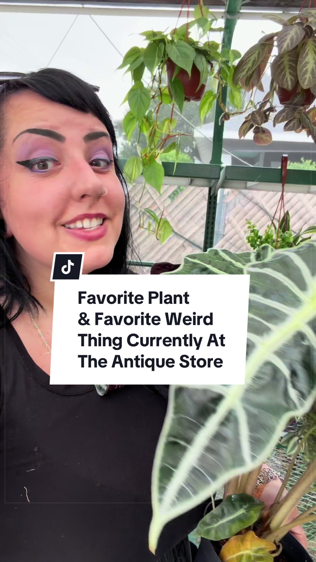 @the citrine ghost 👻🌿🖤