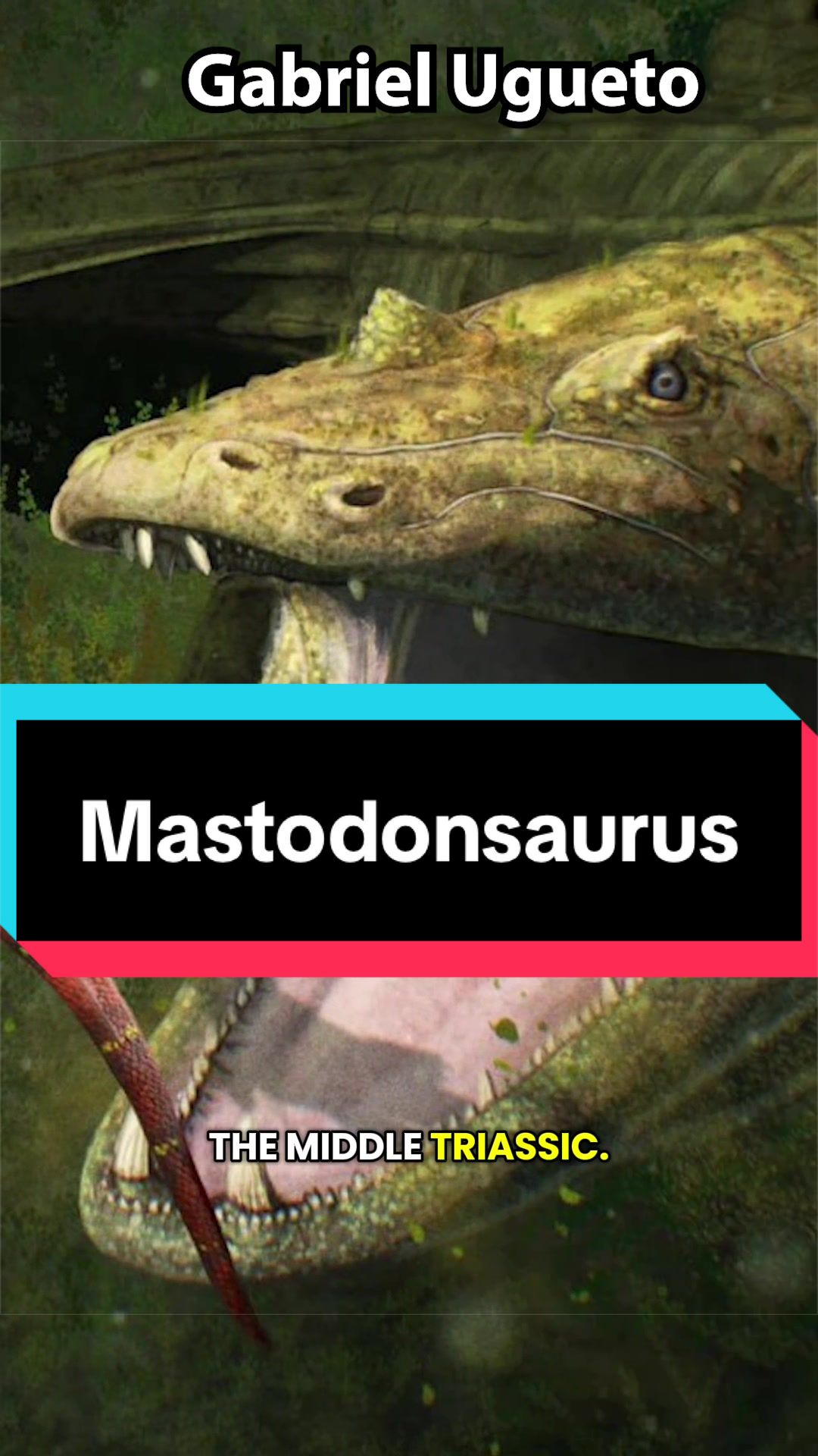 @Dino Guy