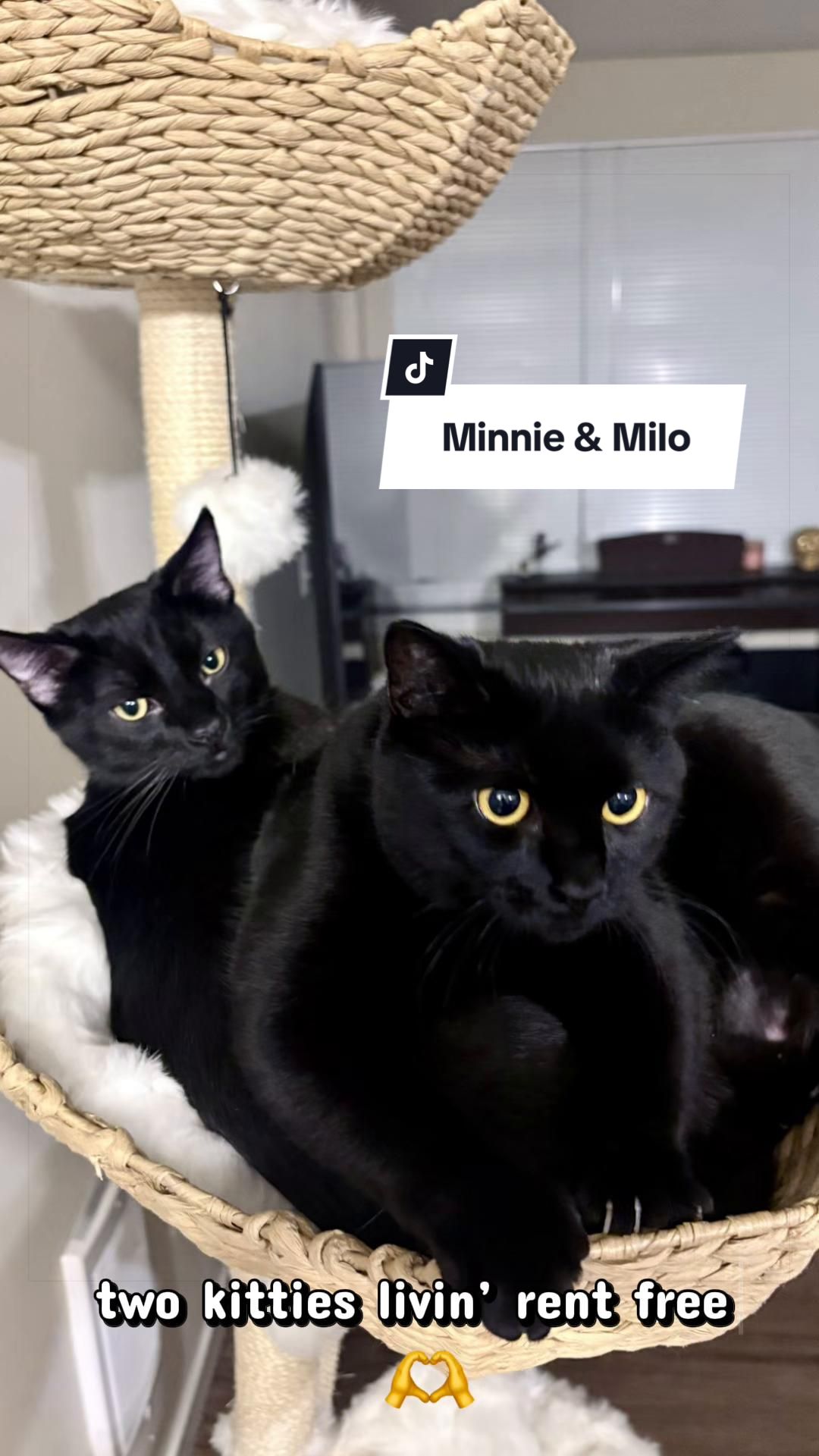 @Minnie & Milo