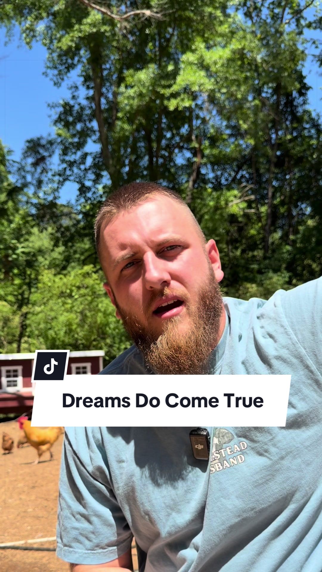 @Bandrhomestead