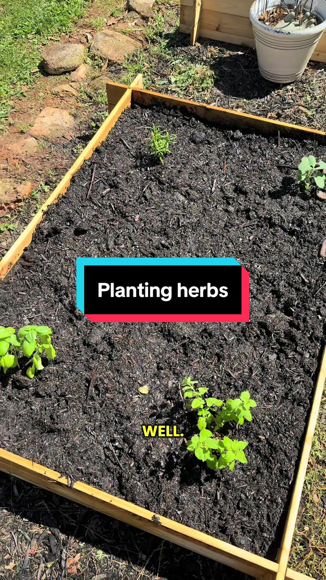 @Kylie | Garden & DIY👩🌾