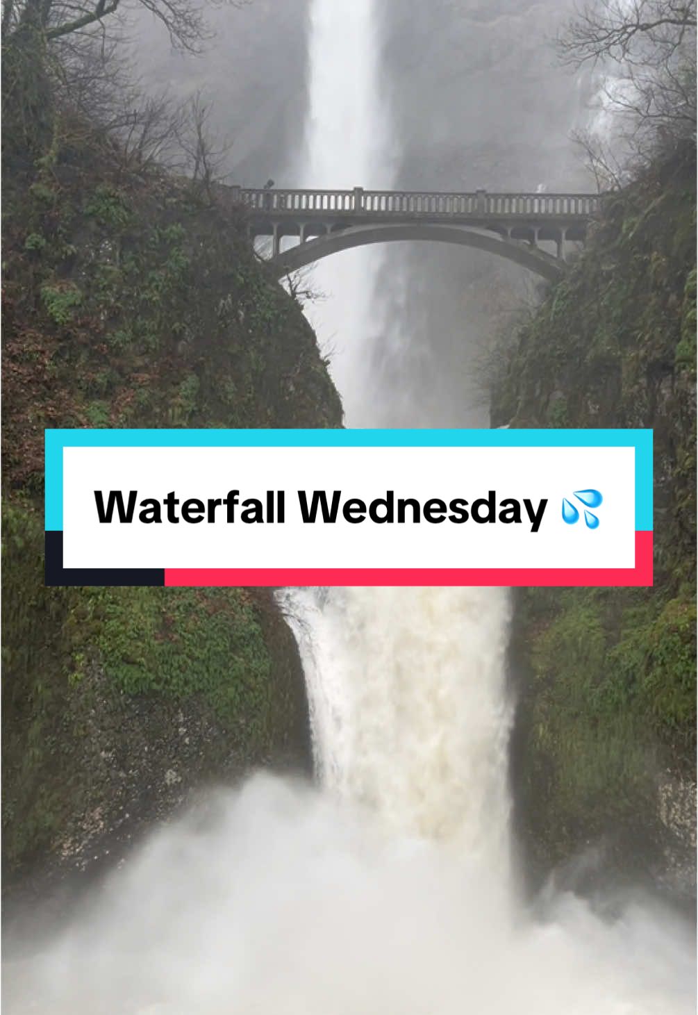 @Multnomah Falls Adventures