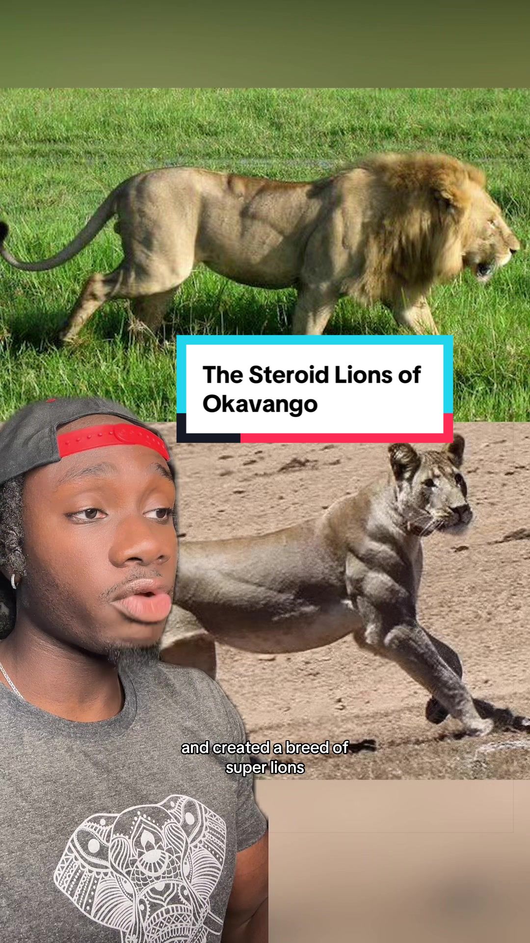 @mndiaye_97