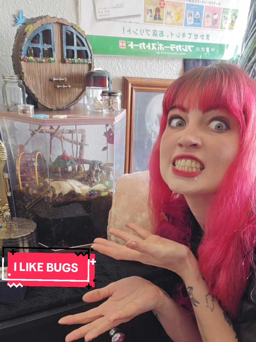 @isakivoelker