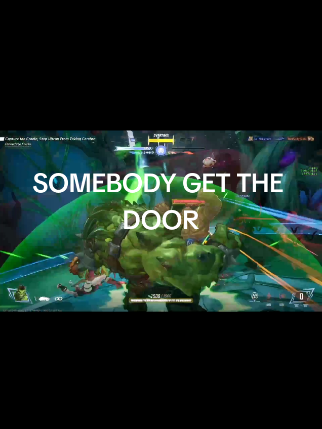 @bugs