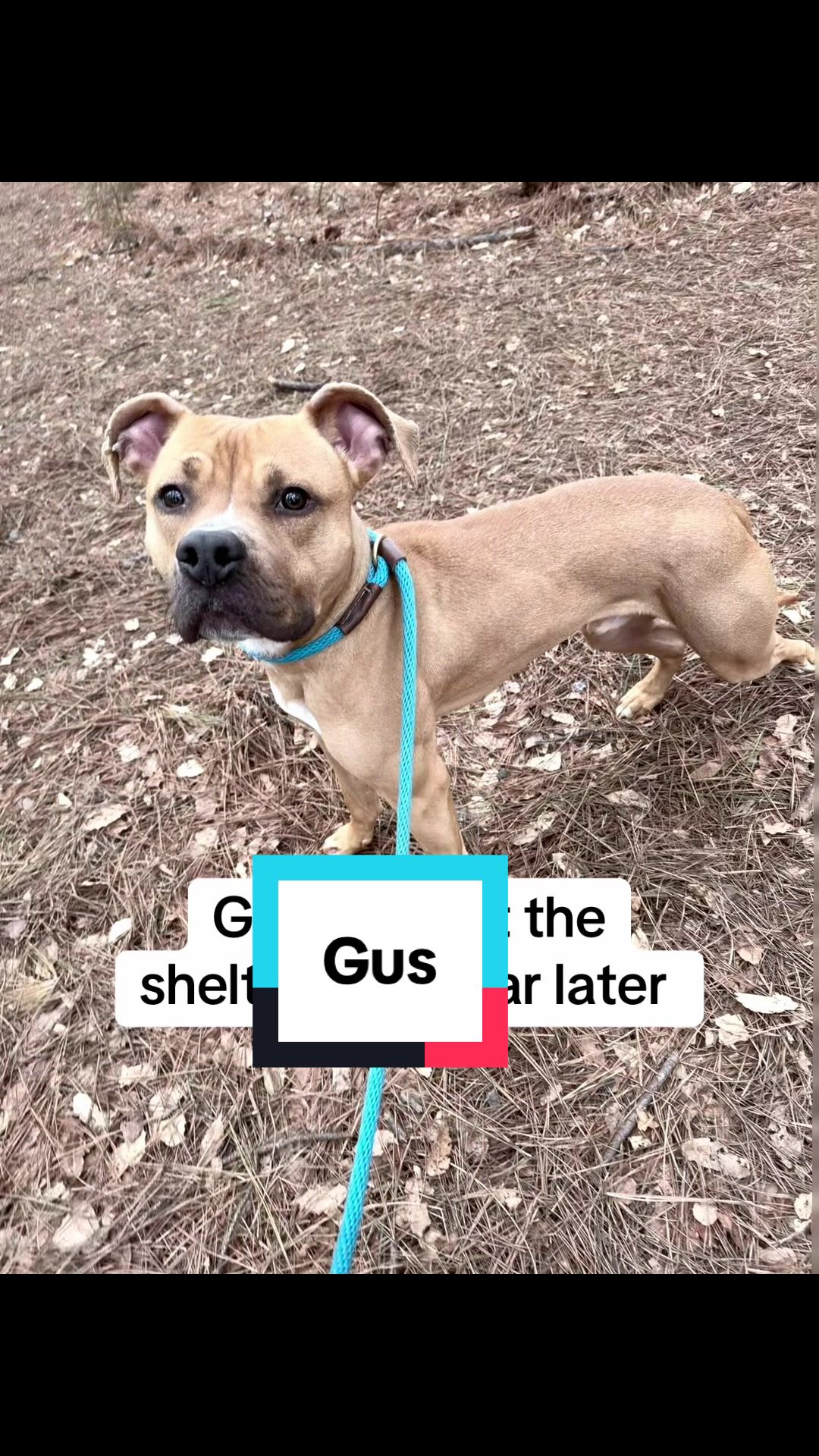 @Underdog