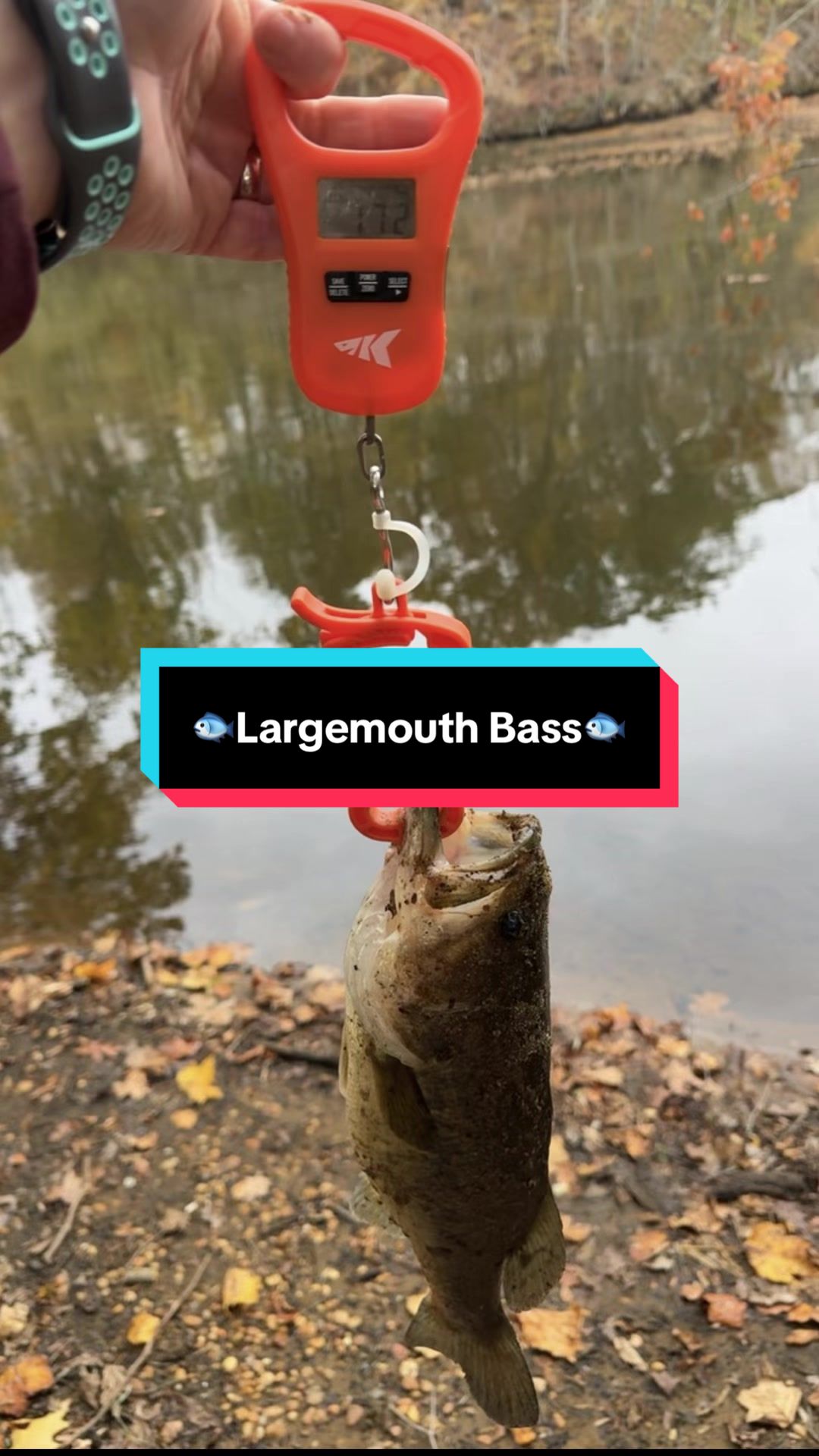 @fb1fishing