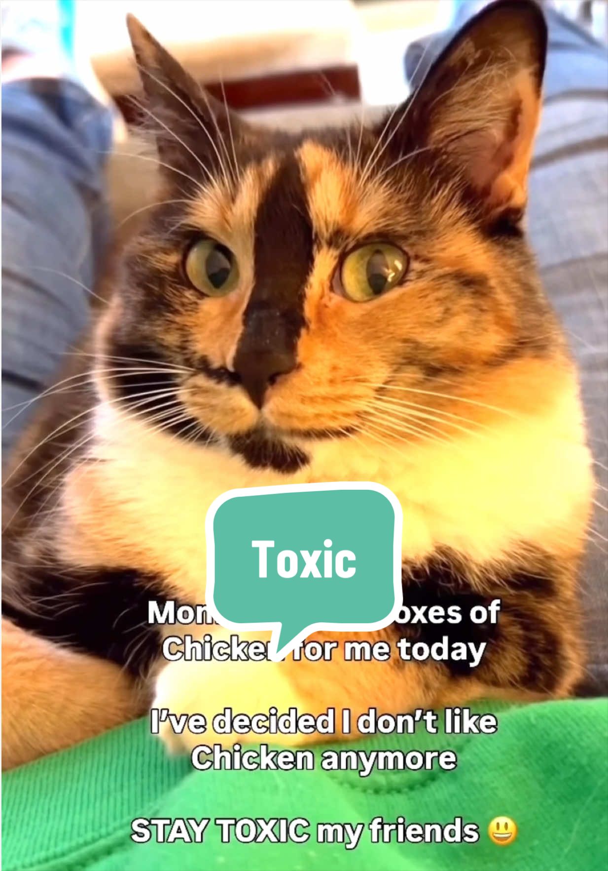 @SnickersTheSmilingCat