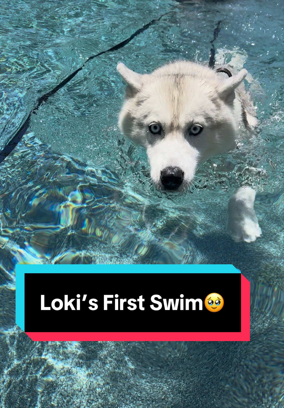 @Loki